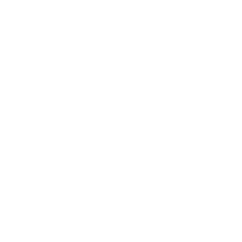 CERVISIMAG