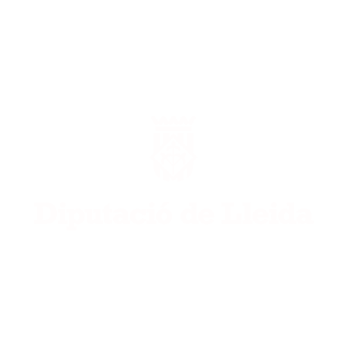 DIPUTACIO LLEIDA