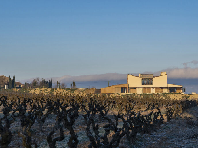 celler raventós Basagoiti vinya